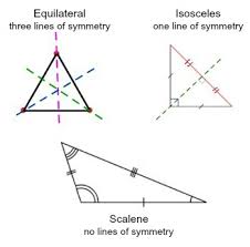 How Many Lines Of Symmetry Does A Right Angle Triangle Have - Brainly.In