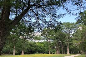 Maybe you would like to learn more about one of these? Fredericksburg Texas Trails Trail Maps Traillink