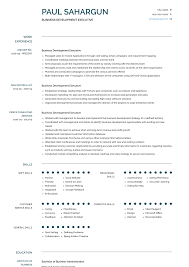 Business Development Resume Samples Templates Visualcv Business Development No Experience Jobs Resume Guide