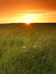 Midwest Kia Midwestkia - Profile Pinterest