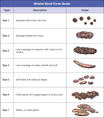 gut health 101: is your poop normal