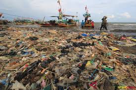 We did not find results for: Penanggulangan Sampah Di Pesisir Lampung Timur Antara News