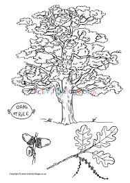 You might also be interested in coloring pages from oranges category. Orange Tree Drawing For Kids Novocom Top