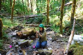 Fire ecology of pacific northwest forests is a historical, analytical, and ecological approach to the effects and use of fire in pacific northwest wildlands. Small Headwater Streams Export Surprising Amounts Of Carbon Out Of Pacific Northwest Forests Geospace Agu Blogosphere