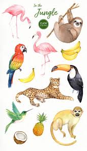 In The Jungle Watercolor Clipart Woodland Animals Kids Etsy Jungle Animal Art Tropical Illustration Tropical Animals