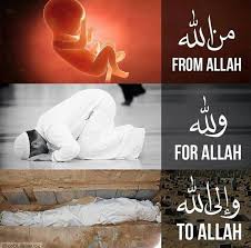 Pin On Islamic Quotes