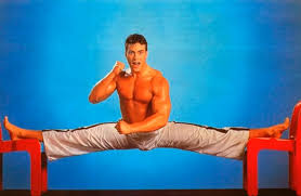 Image result for Van Damme split