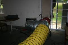 Image result for how long can bed bugs live after heat treatment