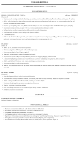 fx artist resume sample mintresume
