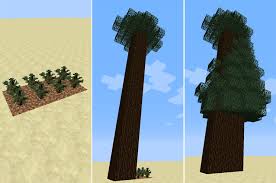 Dark Oak Sapling Problem | Cubecraft Games