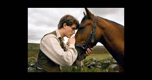 Scène 13, 53'43 à 59'. Cheval De Guerre La Bande Annonce Du Nouveau Film De Steven Spielberg Purepeople