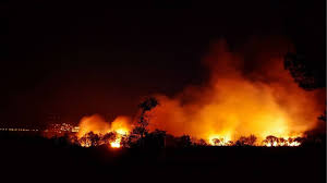 Incendies en Dordogne: Autoroute A89 en Alerte! Ce Qu'il Faut Savoir!