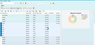 Using Sapui5 Charts In Personas Flavours Sap Blogs