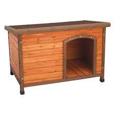 The tlingit people have stewarded the chilkat valley since time immemorial. Dog Ware Pet Products