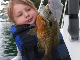 Lake George Fishing Charters (2025)