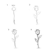 Keep your movements fluid and loose throughout this process. How To Draw A Rose Using A Pencil Or Charcoal Step By Step