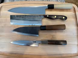 Image result for Gyrodoma hispida