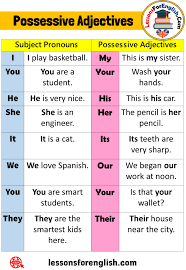 8 Possessive Adjectives And Example Sentences Subject Pronouns Possessive Adjectives I Play Basketball My This Is Possessive Adjectives Adjectives Possessives