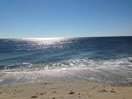 This park gets it's name from the seven presidents that either resided here or vacationed here during the summer; Seven Presidents Oceanfront Park Long Branch Oceanfront Park Long Branch
