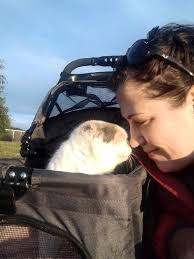 My new 7 legged pet brown recluse named Peggy, lms if you would die for her 