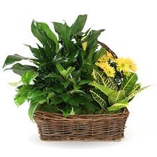 Obituary information for Johnnie Fowler