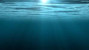 Free Underwater Stock Video Footage Download 4k Hd 689 Clips