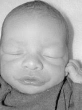 Wendell Wayne Derritt III