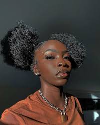 Though sometimes controversial, the natural hair type chart is one of the first tools naturalistas use to begin to understand their hair and how to best for type 4s, stephen is also a fan of washday styles that lock in moisture. 40 Simple Easy Natural Hairstyles For Black Women