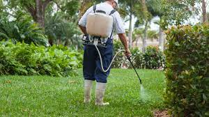 Broadleaf Weed Control The Organic Way