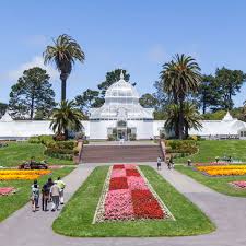 Conservatory of flowers sf light show. Inside San Francisco Golden Gate Park S Conservatory Of Flowers Curbed Sf