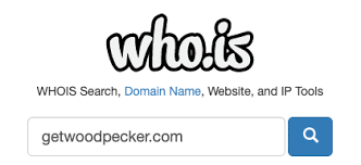 What Is Domain Age Help Woodpecker Co