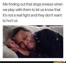 Me Finding Out That Dogs Sneeze When We Play With Them To Let Us Know That It S Hot A Real Fight And They Don T Want To Hurt Us Ifunny