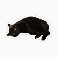 Black Cat Gifts Merchandise Redbubble Looking for a great gift for cat lovers?