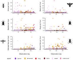 Image result for Crotonogynopsis australis