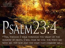 Answer psalm 23:4, which reads, even though i walk through the valley of the shadow of death, i will fear no evil, for you are with me; Quotes About Valley Of Death 42 Quotes