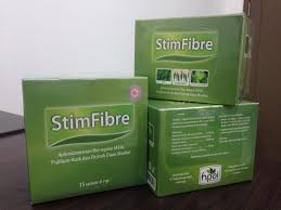 Pin Di Stimfibre