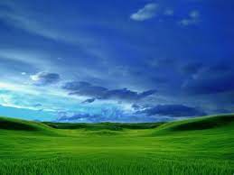 Windows Xp Default Wallpapers Os Wallpapers 1024 768 Xp Default Wallpapers 39 Wallpapers Adorable Wallpape Name Wallpaper Grass Wallpaper Beautiful Nature