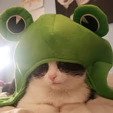 images?q=tbn:ANd9GcQG4HvBwV162kyIUusBGGgKsjnlAK6cmUfVCCDV3jUM2w&s