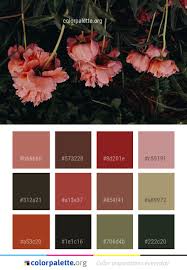 Flower Plant Pink Color Palette Colors Inspiration Graphics Design Inspiration Beautiful Colorpalette Pal Color Palette Pink Color Modern Color Palette