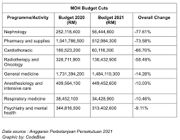 He declared budget 2020 was clearly a youth budget, and that it reflected ph's commitment to assist them. Government Slashes 2021 Medical Public Health Budgets Amid Covid Crisis Codeblue