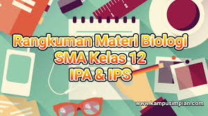 Check spelling or type a new query. Rangkuman Materi Lengkap Biologi Kelas 12 Sma Ipa Ips