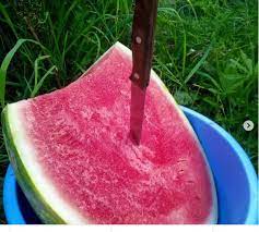 Maybe you would like to learn more about one of these? 9kykkmed8z1num