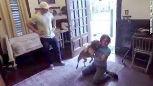 Watch Heartwarming Reunion Between Astronaut And Her Dog Cnn Video
