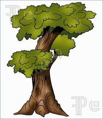 Latar belakang lapangan dan tanah 0329 png. Gambar Pohon Kartun Lucu Tree Cartoon Pictures Wallpaper Menggambar Pohon Kartun Gambar