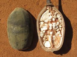 Epingle Sur Cuisine Senegalaise