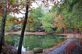 Maybe you would like to learn more about one of these? Beavers Bend Log Cabins Updated 2021 Prices Campground Reviews Broken Bow Ok Tripadvisor