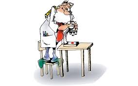 Von Blutglukose Und Hba1c Elke Austenat