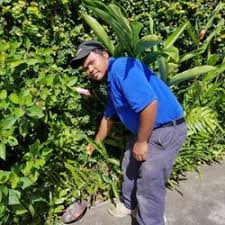 Check spelling or type a new query. Ultimate Innovations 12 Photos 23 Reviews Landscaping 2908 Kaihikapu St Honolulu Hi United States Phone Number