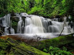 Deang Waterfall Waterfall Koh Phangan Outdoor