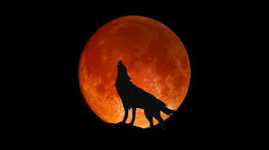 Jan 28, 2021 · vollmond august 2019; Vollmond Heute Am 03 08 2020 Roter Mond Im August Ein Dusteres Omen Fur Astro Fans News De
